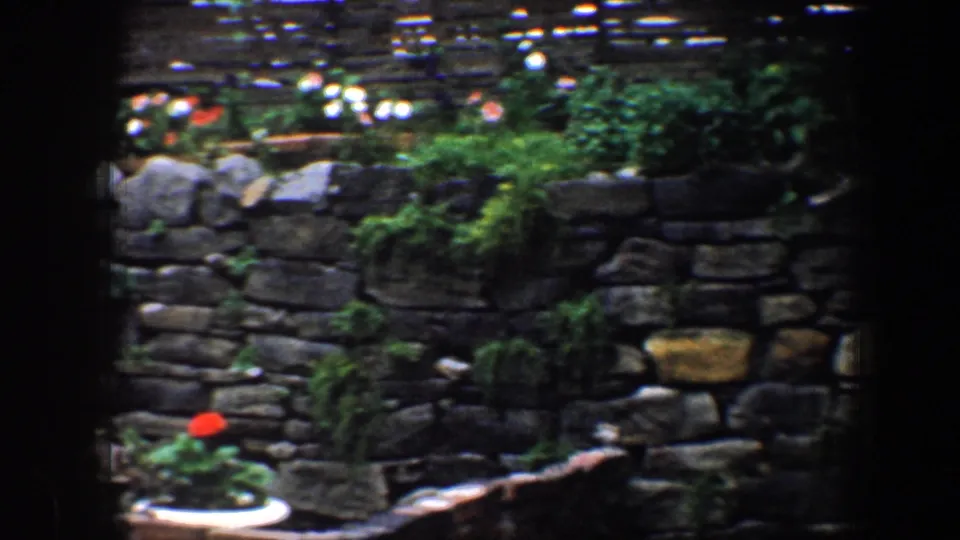 1960 Baltimore outdoor scene with a stacked stone wall, greenery, flowers, and a red-and-white umbrella behind it.