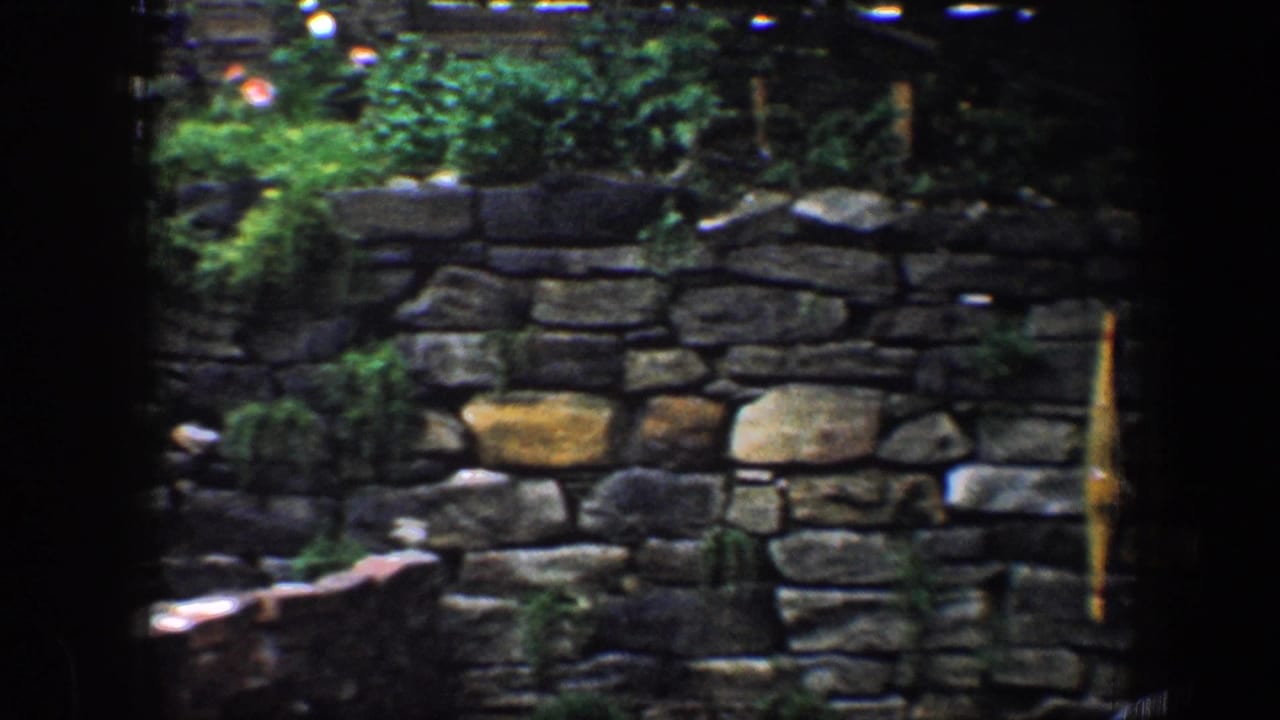 A stone wall and small plants are filmed in soft, dark-edged 8mm color, consistent with the Baltimore home-movie metadata.