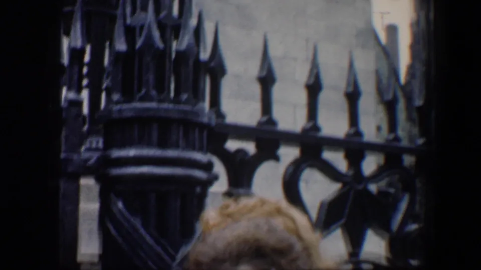 A Baltimore monument fence fills the frame, with the top of a woman’s hair visible near the lower edge.