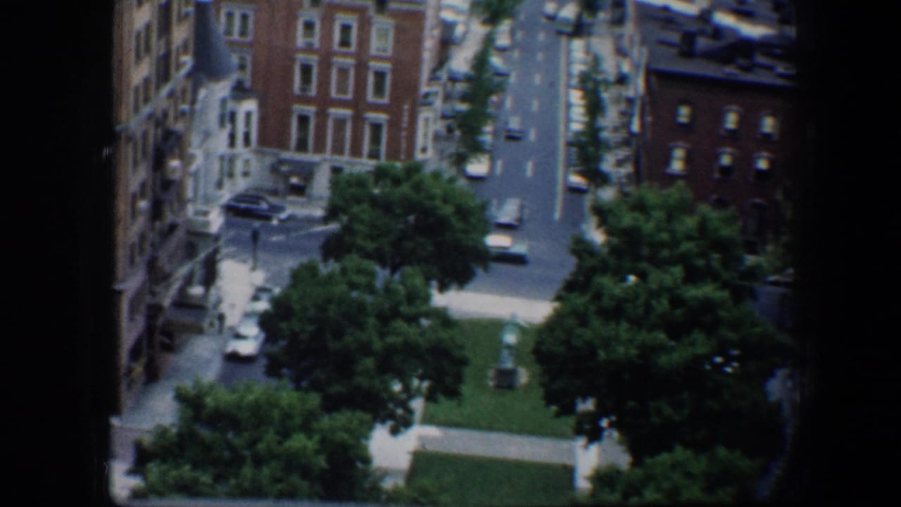 High-angle view through a window toward a tree-lined Baltimore street and brick buildings.