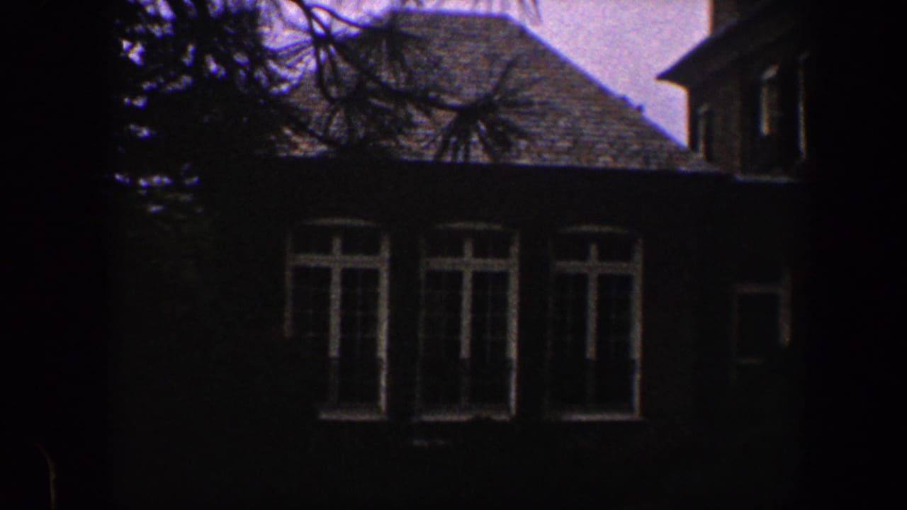 Dark brick house exterior with white-trimmed windows and tree branches.