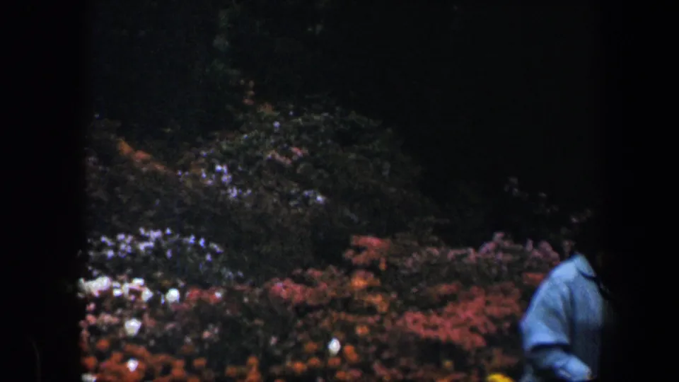 1960 8mm Baltimore frame showing red flowers, shaded garden foliage, and the cropped figure of a woman in a blue sweater.