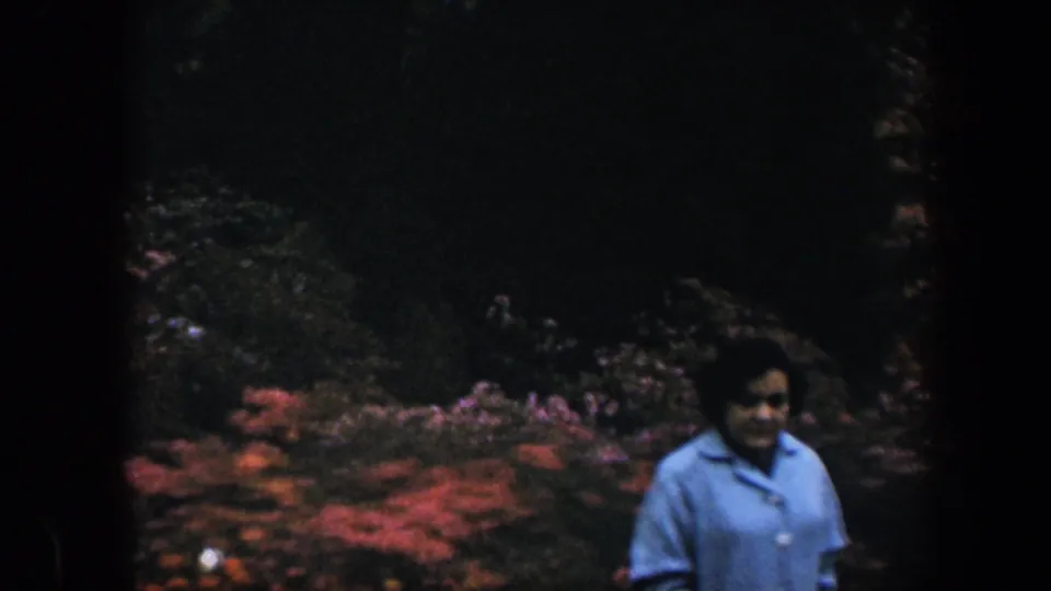 1960 8mm Baltimore home-movie frame of a woman in a blue sweater standing near red garden flowers under trees.