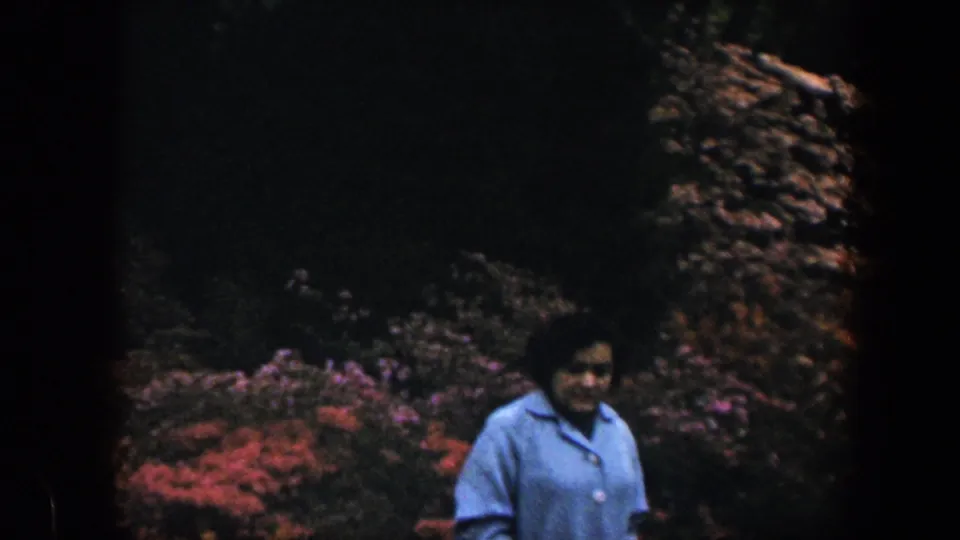 In 1960 Baltimore home-movie footage, a woman in a light blue shirt appears near red and pink flowering shrubs in a shaded garden.