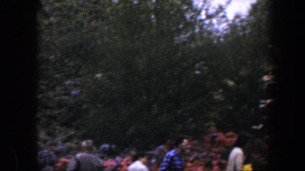 1960 Baltimore 8mm frame showing pedestrians partly obscured by trees and pink blossoms in a sunlit park setting.