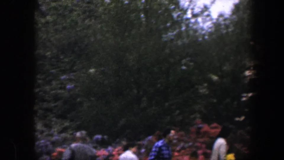 1960 Baltimore 8mm frame showing pedestrians partly obscured by trees and pink blossoms in a sunlit park setting.