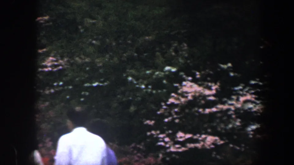 1960 Baltimore 8mm frame with a person in a light shirt viewed from behind beneath blooming branches and shaded trees.