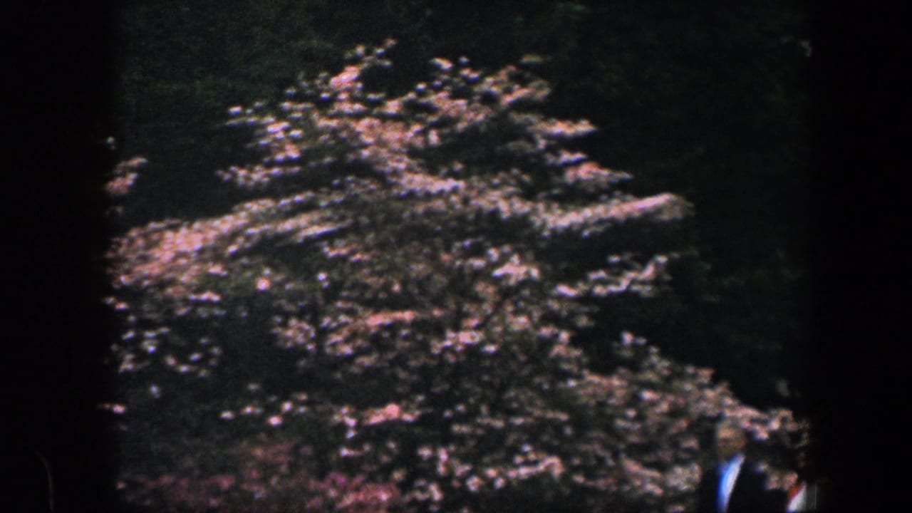 Sunlit garden bed with foliage and a partial visitor at the lower right edge.
