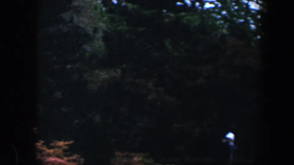 Baltimore 1960 home-movie frame showing a dark garden area with foliage and partial film border before the flowers fill the view.