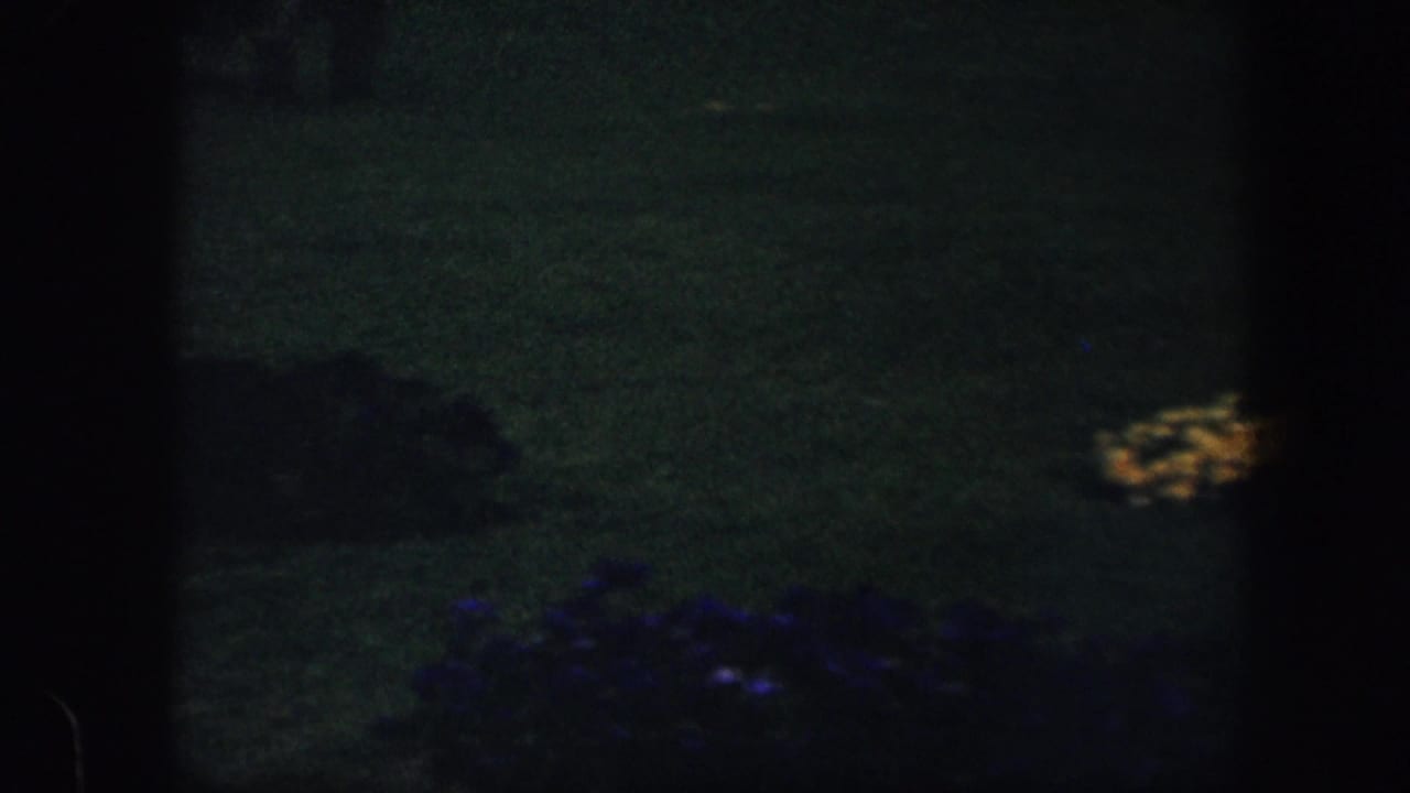 1960 Baltimore 8mm frame showing a dim lawn with small yellow and purple flowerbeds near the edges of the shot.