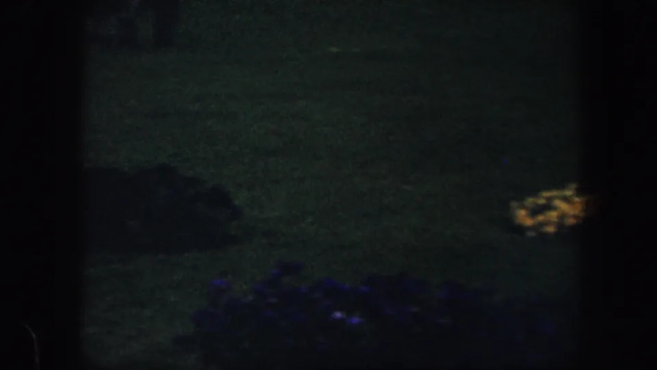 1960 Baltimore 8mm frame showing a dim lawn with small yellow and purple flowerbeds near the edges of the shot.