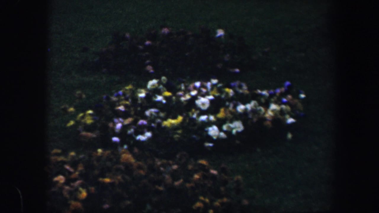Clustered flowerbeds with pale, yellow, and purple blooms on a dark lawn.