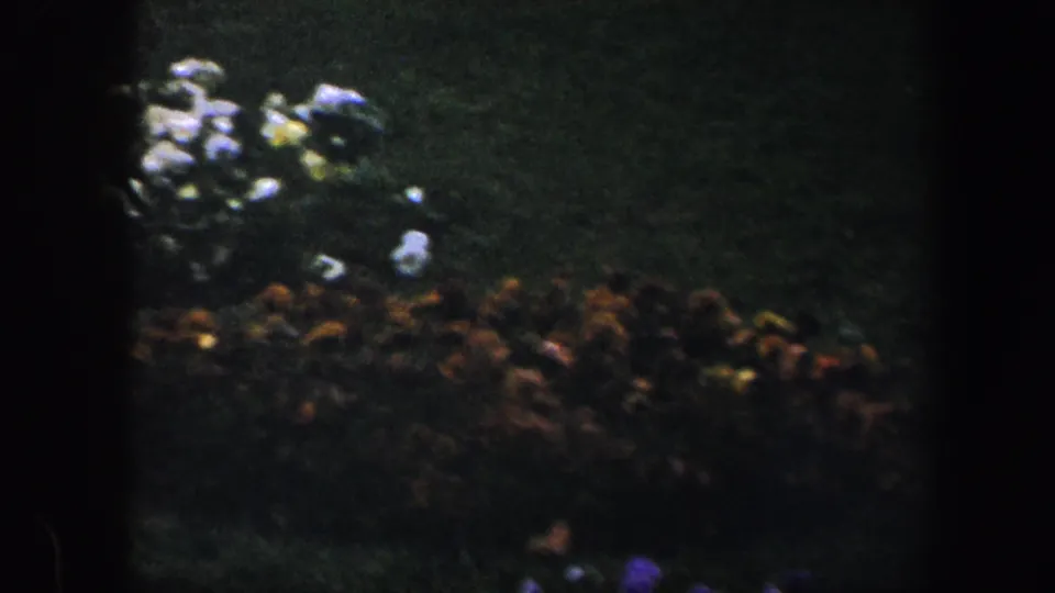 Final garden frame showing white and orange flowerbeds on a green lawn in the 1960 Baltimore home movie.