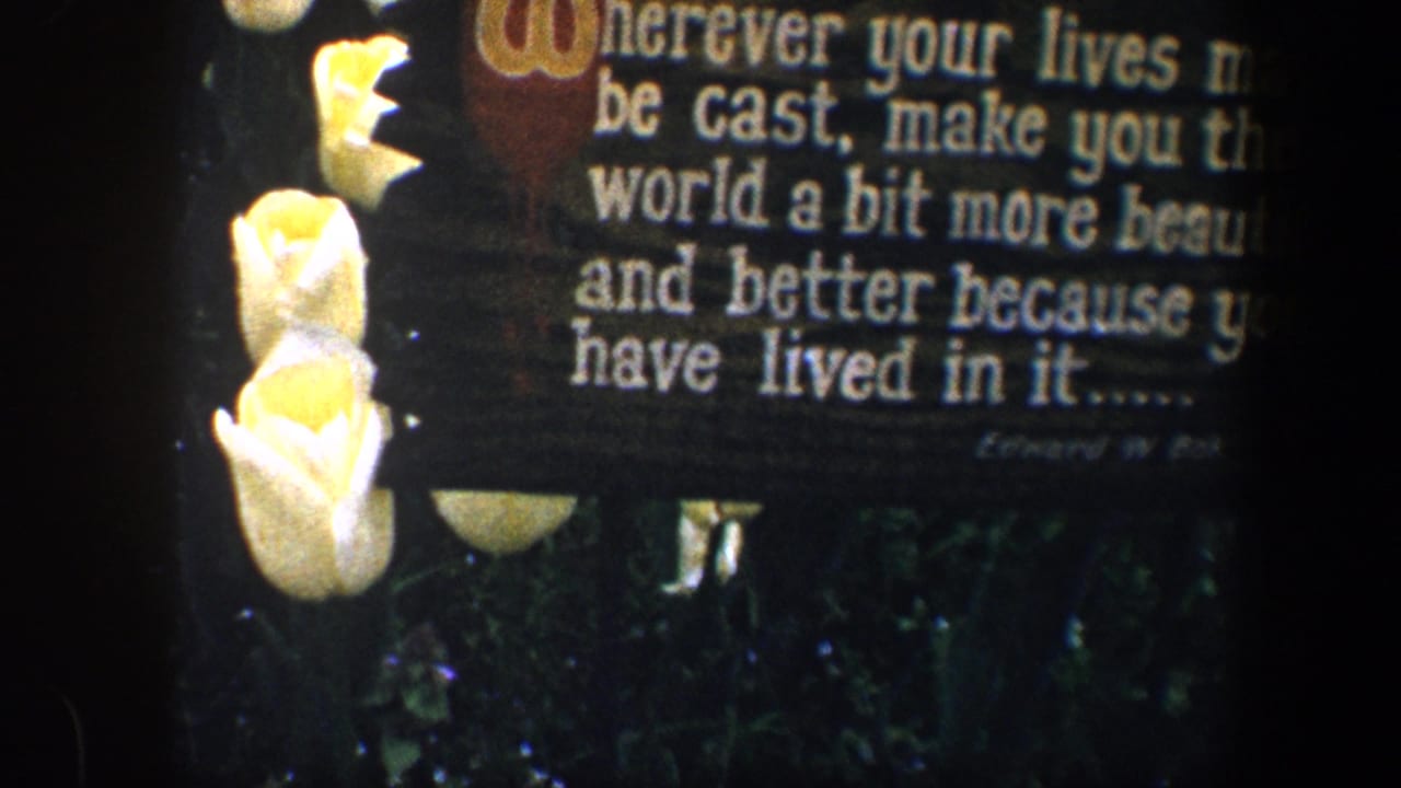 Wooden quotation sign beside white roses and dark green garden foliage.