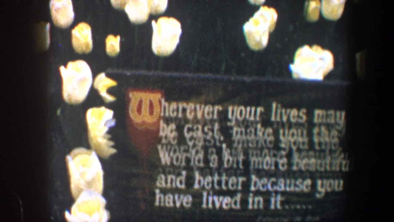 1960 Baltimore 8mm frame showing a sentimental quote sign with yellow tulips around it, softly focused and partially cropped.