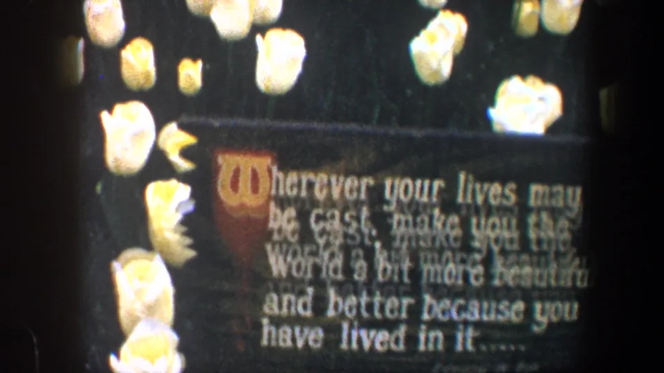 1960 Baltimore 8mm frame showing a sentimental quote sign with yellow tulips around it, softly focused and partially cropped.