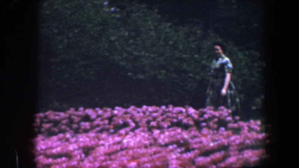 An adult woman walks through a Baltimore spring garden in 1960, with bright tulip rows and dark foliage behind her.