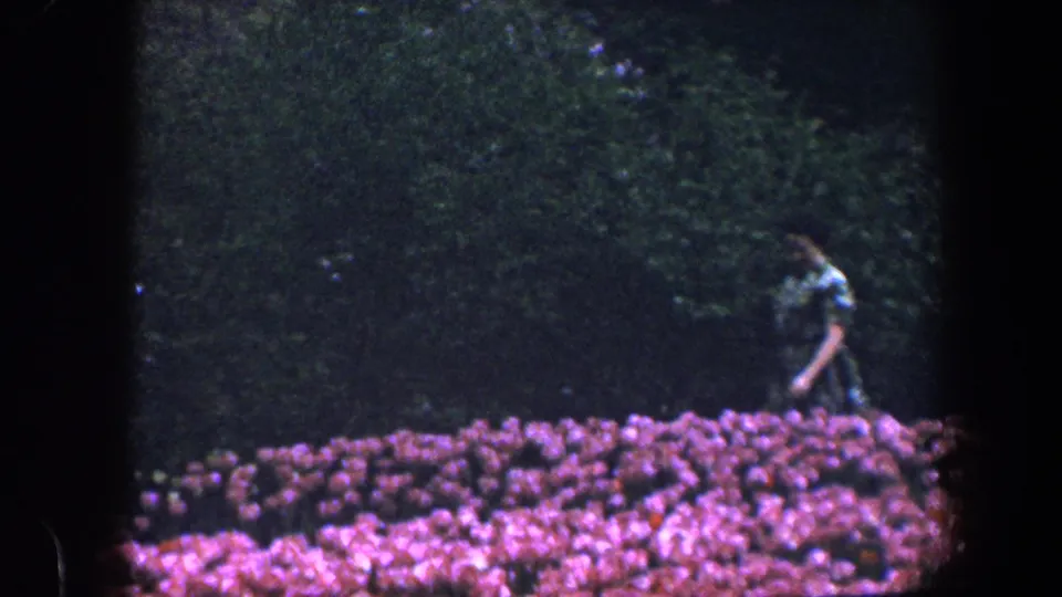 The woman continues past rows of tulips in the Baltimore garden, partially framed at the right edge of the 8mm shot.