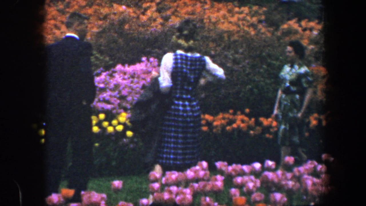 Adults stand and stroll among colorful tulip beds in a garden.