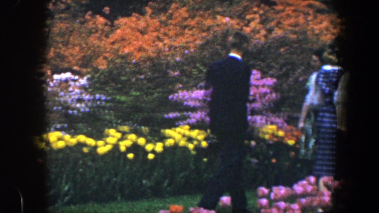 1960 Baltimore garden frame with a suited man and a woman in a checked dress walking past tulip beds.