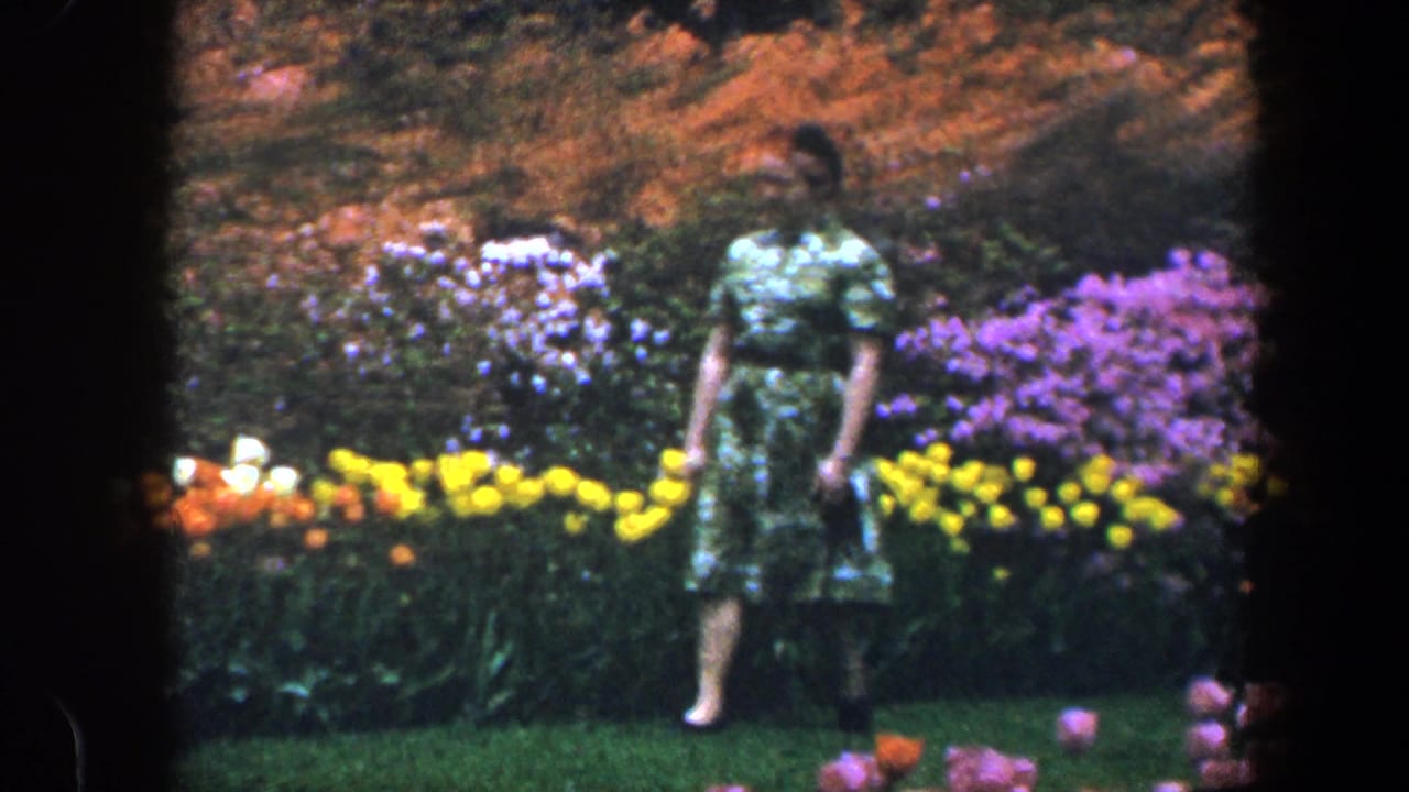 Woman in a green print dress stands beside colorful flower beds.