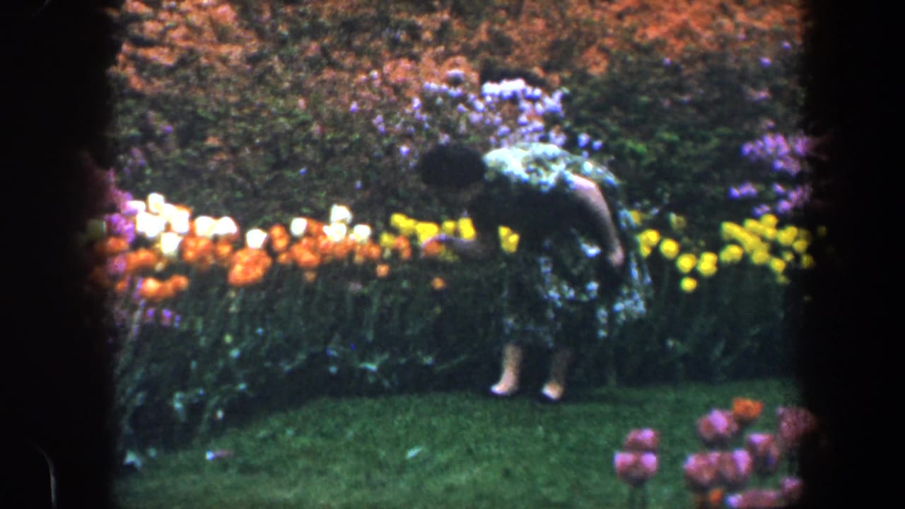 The woman bends near a row of colorful flowers in the Baltimore garden, with purple shrubs and yellow blooms behind her.