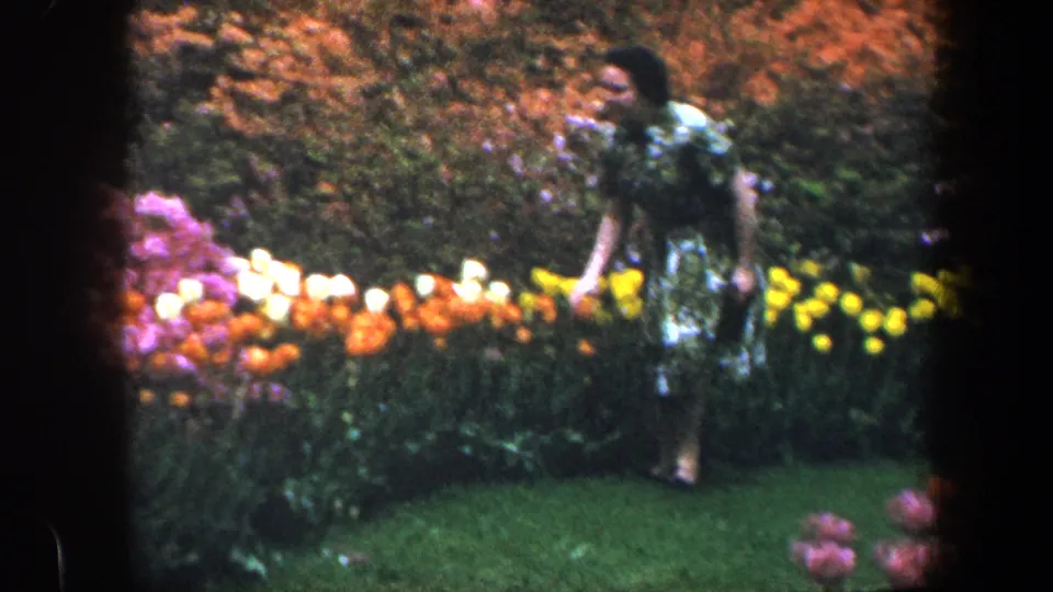 A woman in a green and white dress walks along the lawn beside bright flower rows in 1960 Baltimore home-movie footage.