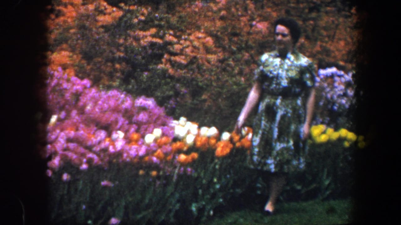 Woman in a green floral dress walking beside bright flowerbeds.