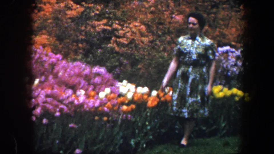 In 1960 Baltimore home-movie footage, a woman in a green floral dress walks beside rows of pink, orange, yellow, and white flowers.