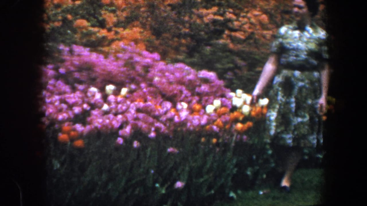 Woman partly framed at the right edge beside tulips and pink flowers.