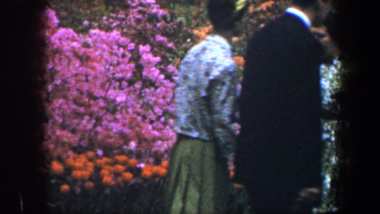 Woman and man walking beside colorful flowering shrubs in a garden.