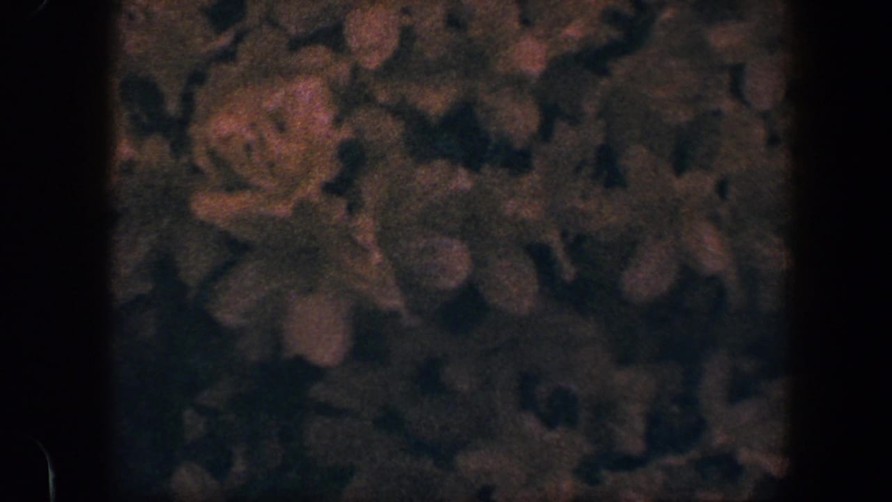 Muted orange floral pattern on a dark textured surface.