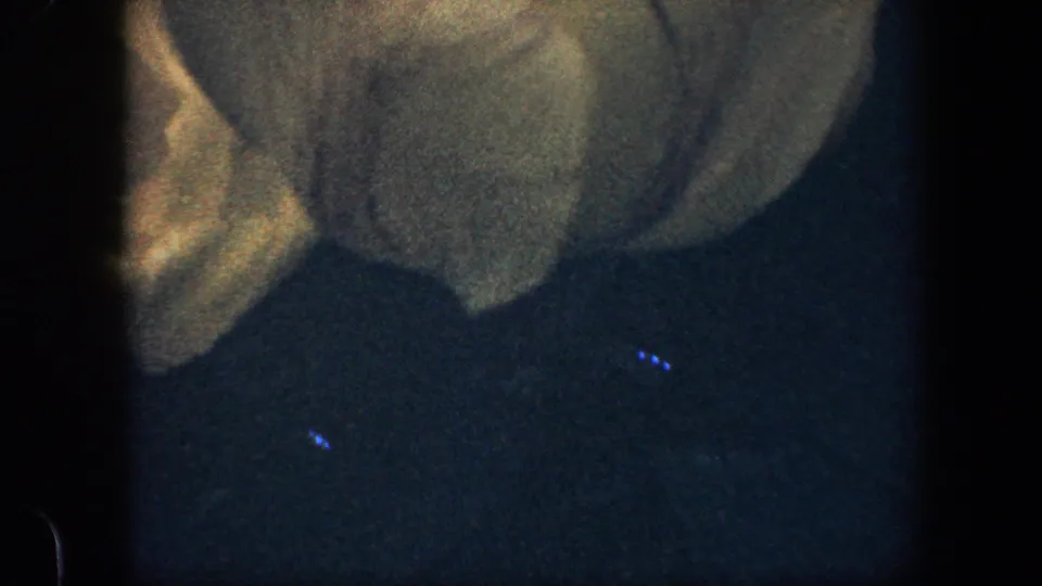 1960 Baltimore 8mm frame showing a zoomed-in yellow tulip bloom with visible petal folds and film grain.