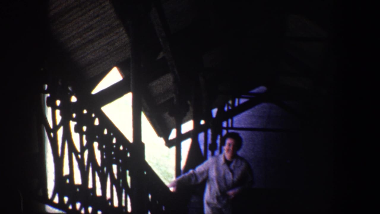 Smiling woman moving upward on stairs in a dark interior with bright window light.
