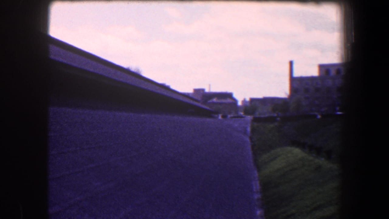 Roadway and grassy embankment seen through a dark vehicle-window frame.