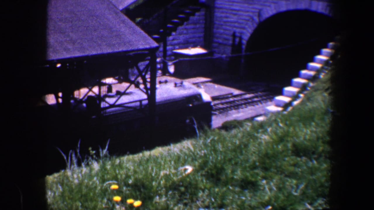 Dark train below a brick arch with grass in the foreground.