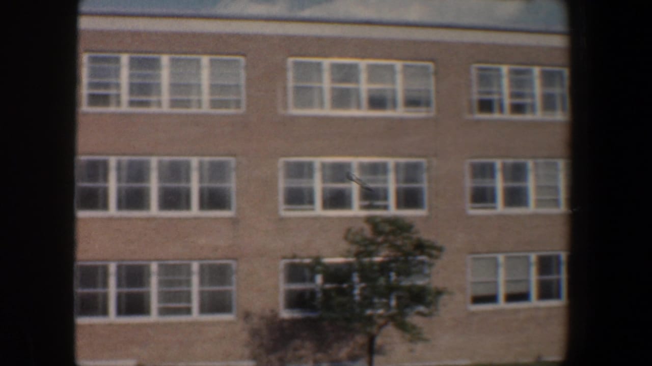 Brick building wall with repeated windows and a tree in front.