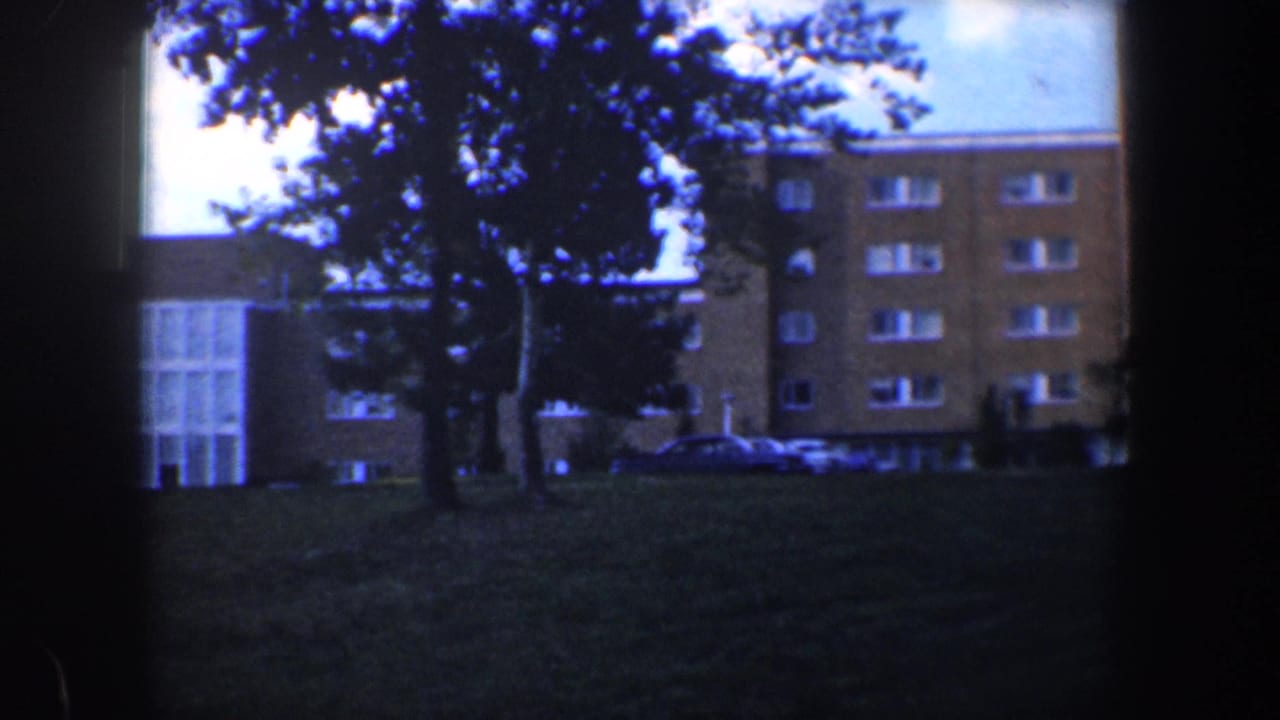 Brick apartment building behind trees and a grassy foreground.