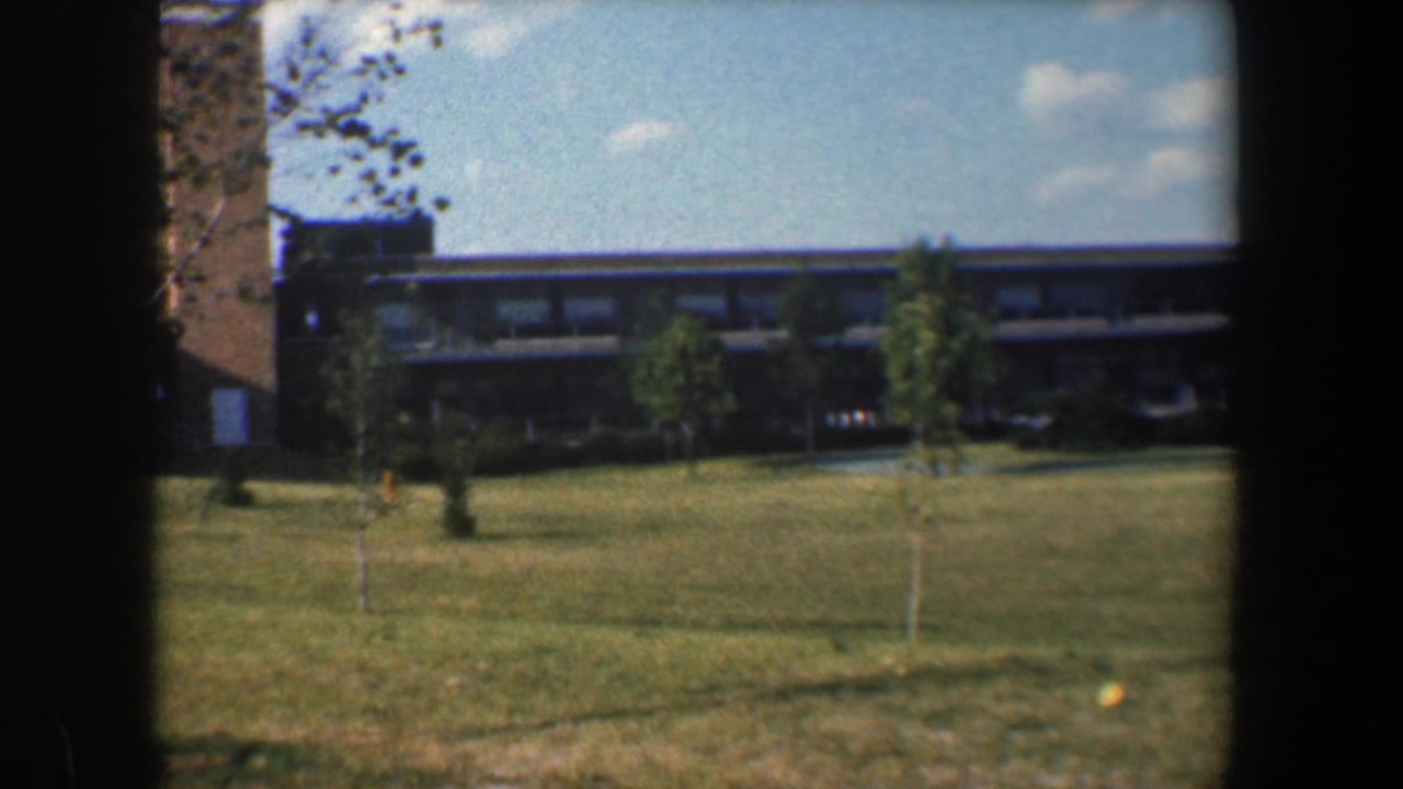 Wide campus lawn with young trees and a long modern building under blue sky.