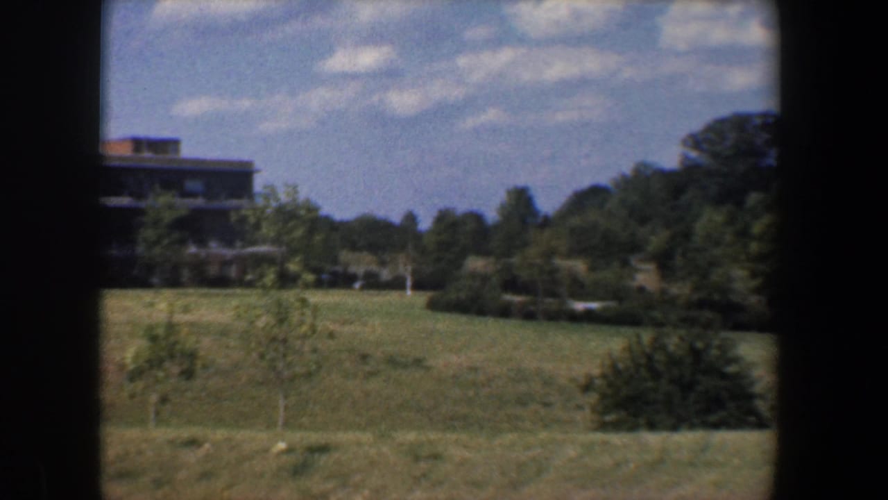 Open lawn and scattered trees with part of a distant building at left.