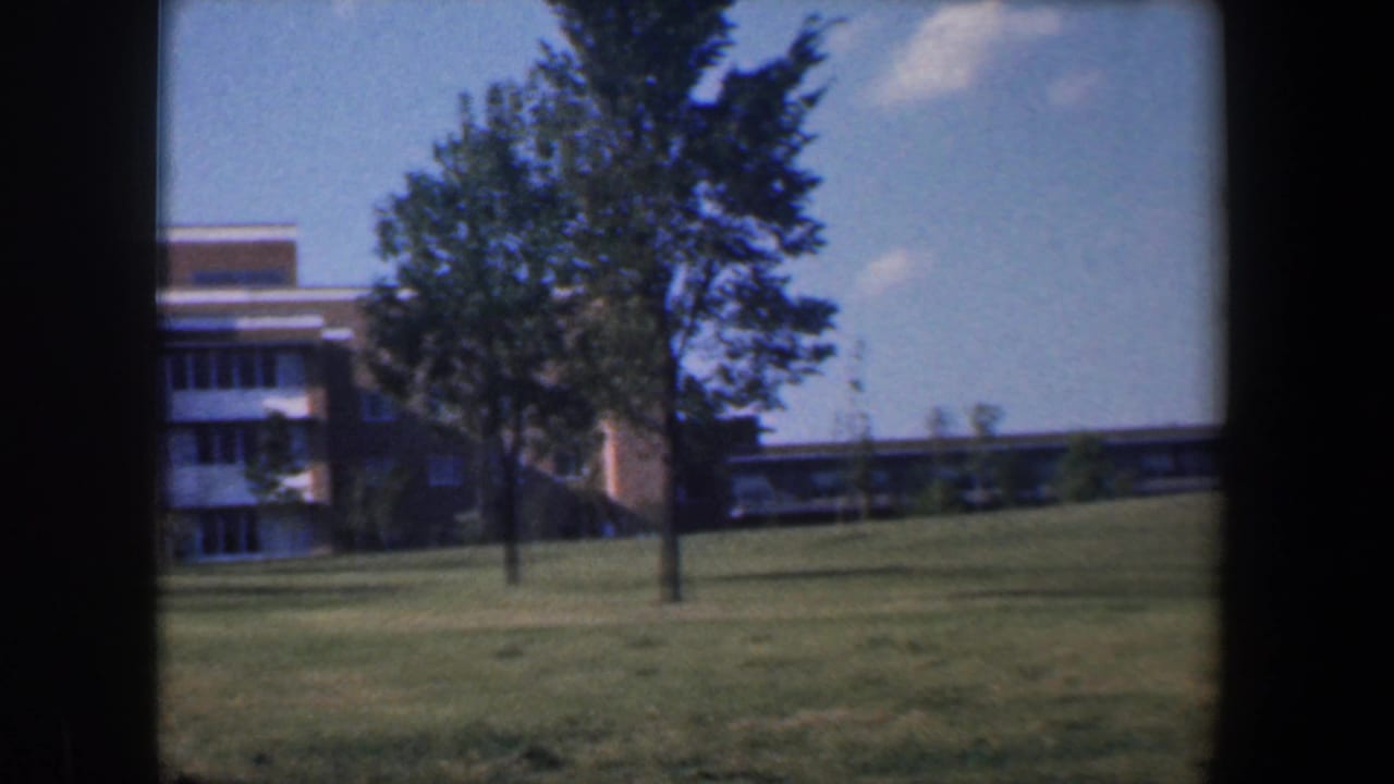 Brick multi-story building partly hidden by trees across a sunny grass lawn.