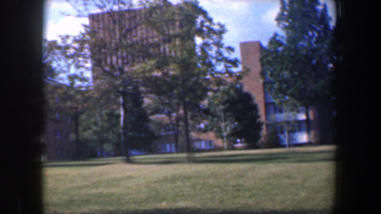Brick buildings partly hidden by trees across a sunny lawn.