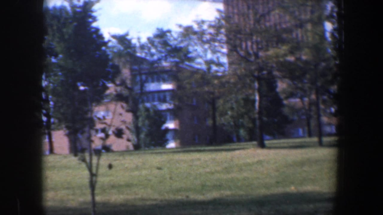 Brick building with large windows behind trees and open grass.