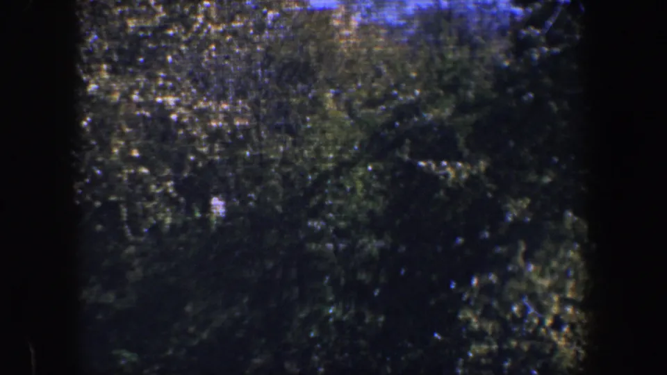 1960 Baltimore home-movie still showing dense green leaves, bright highlights, and shadowed frame edges in soft 8mm color.