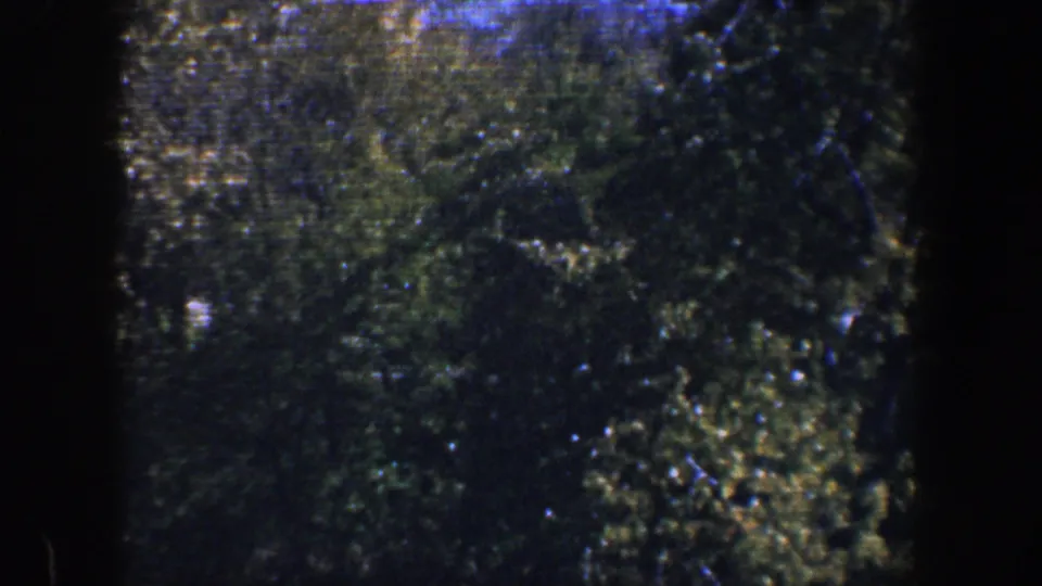 1960 Baltimore 8mm frame of dark green foliage, sunlit leaf clusters, faint branches, and a small blue sky area.