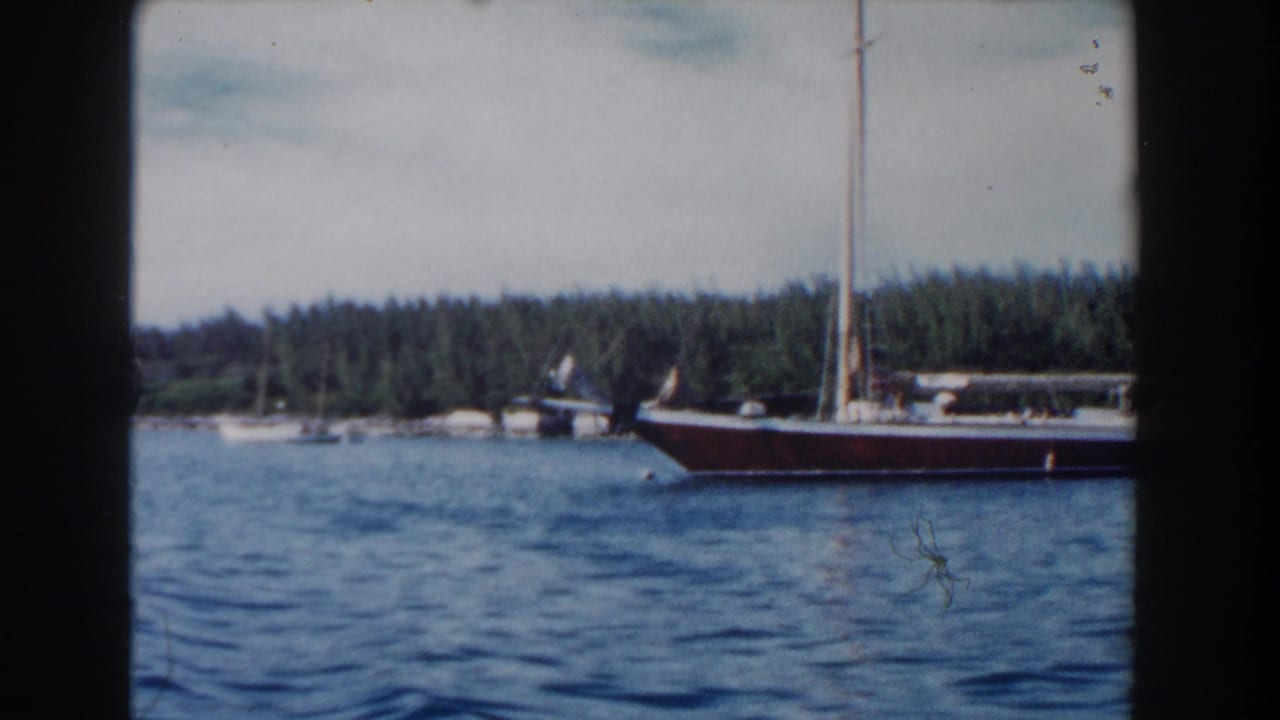 Dark-hulled sailboat passing on blue water near a wooded shoreline.