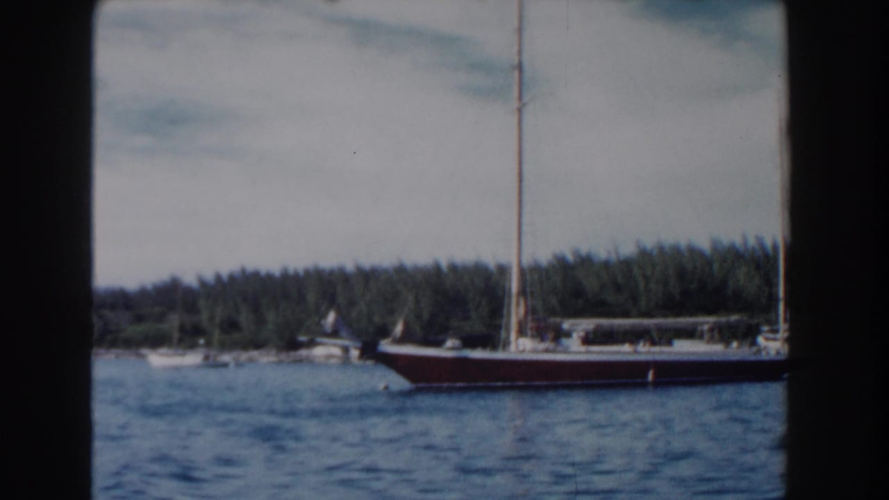 Sailboat with tall mast seen near the right side of a wooded coastal view.