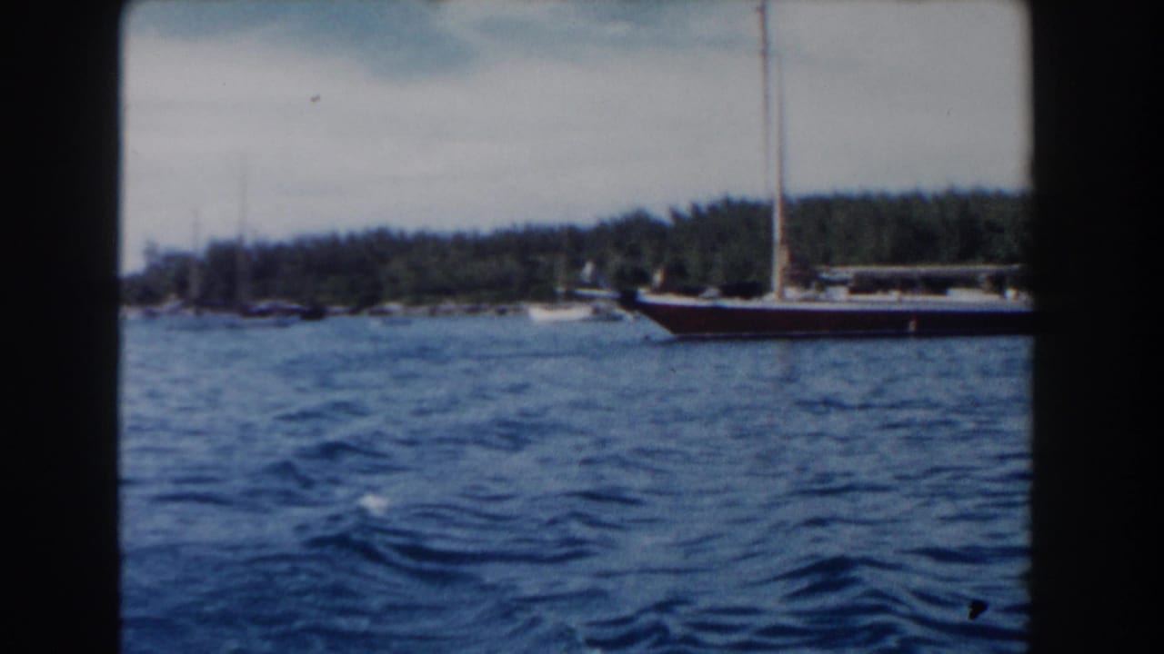 Red sailboat near the right side of a blue harbor with trees behind it.