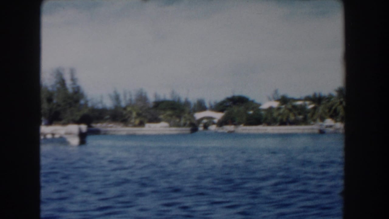 Tropical shoreline across calm harbor water with palms and a small bridge or arch.