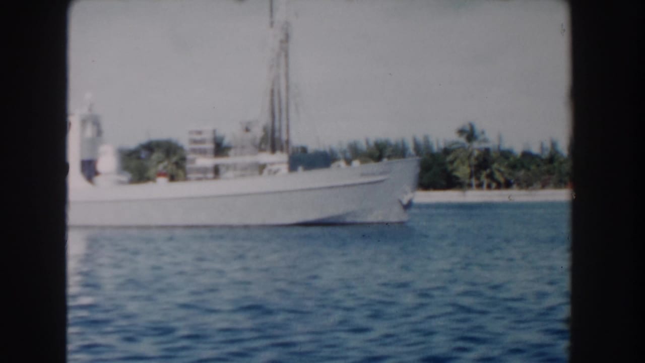 Side view of a white boat floating near a tropical shoreline.